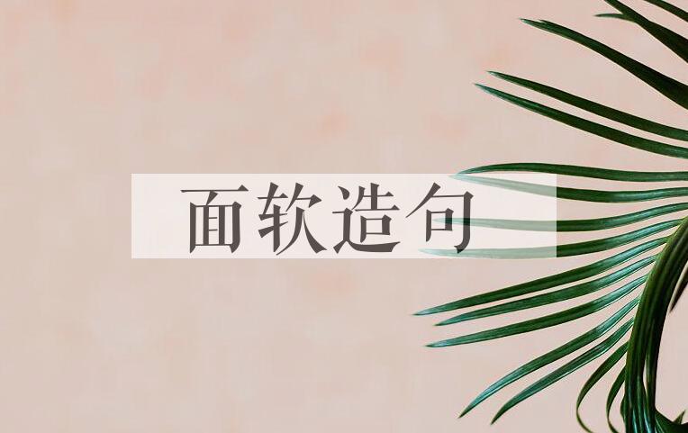 用面软造句