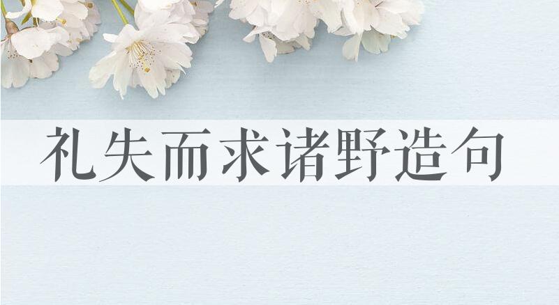 用礼失而求诸野造句