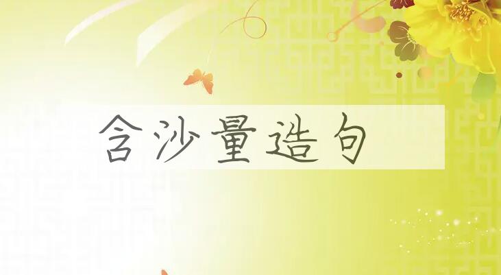用含沙量造句