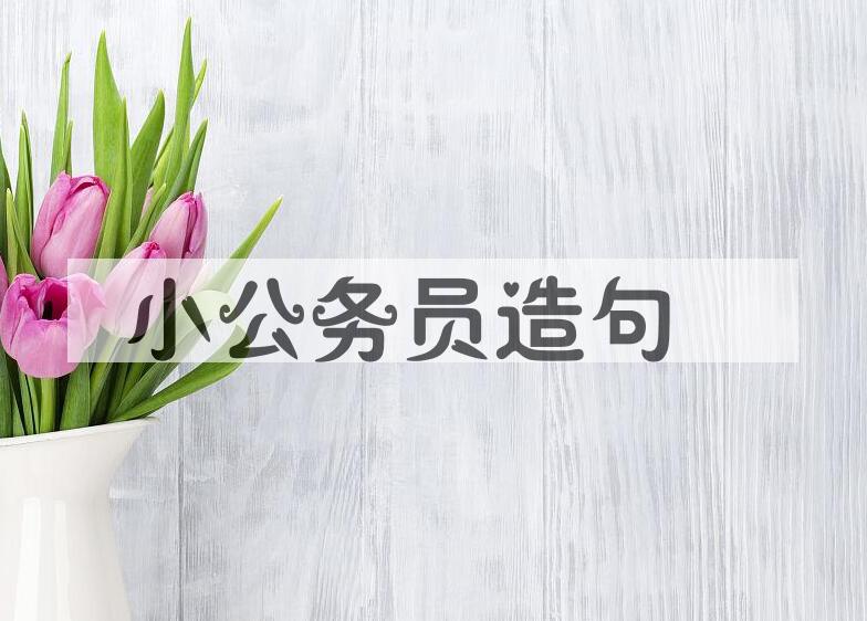 用小公务员造句