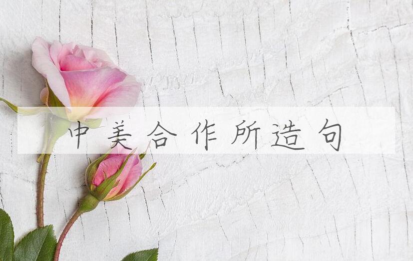 用中美合作所造句