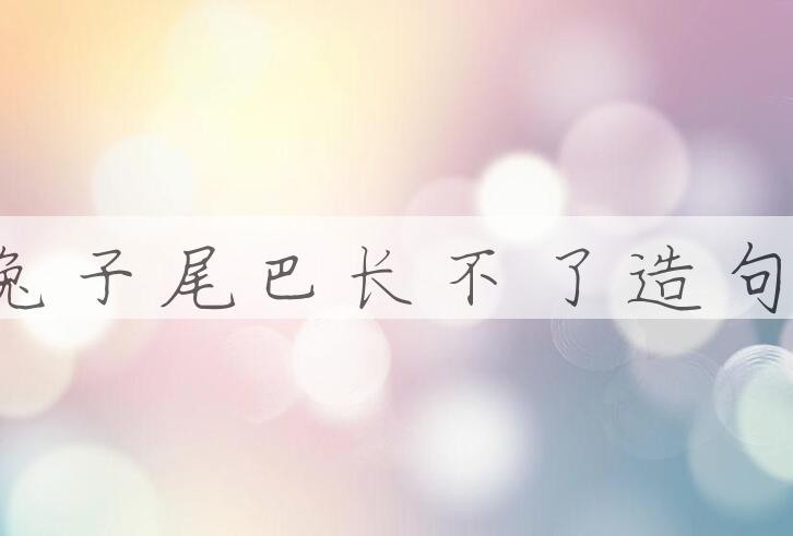 用兔子尾巴长不了造句
