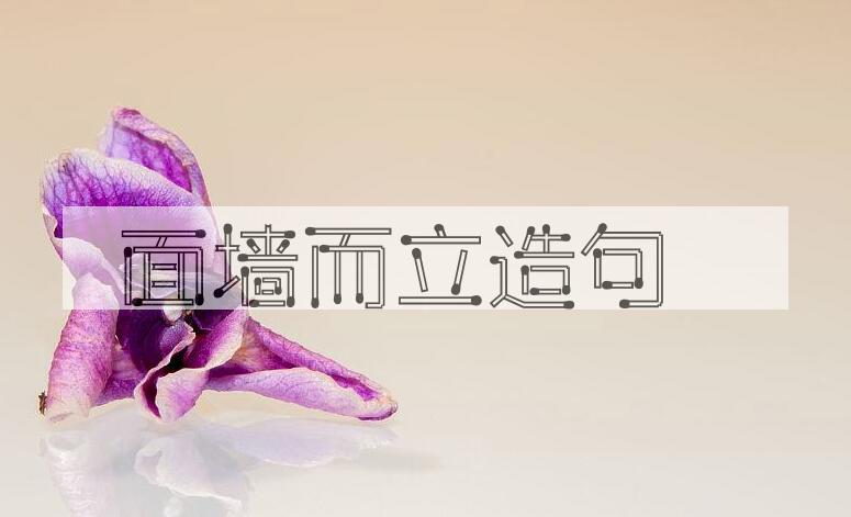 用面墙而立造句