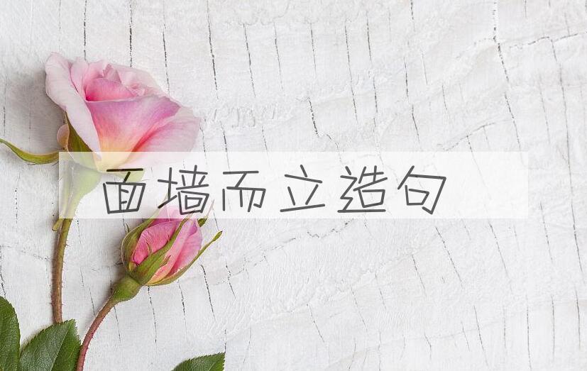 用面墙而立造句