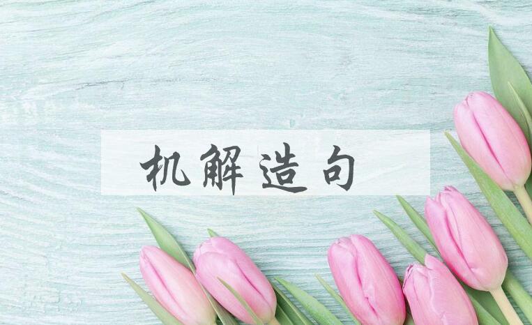 用机解造句