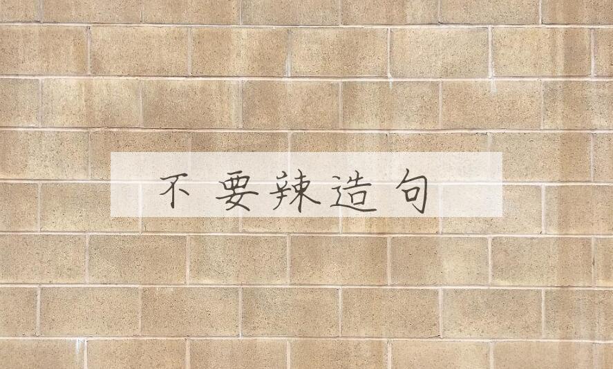 用不要辣造句