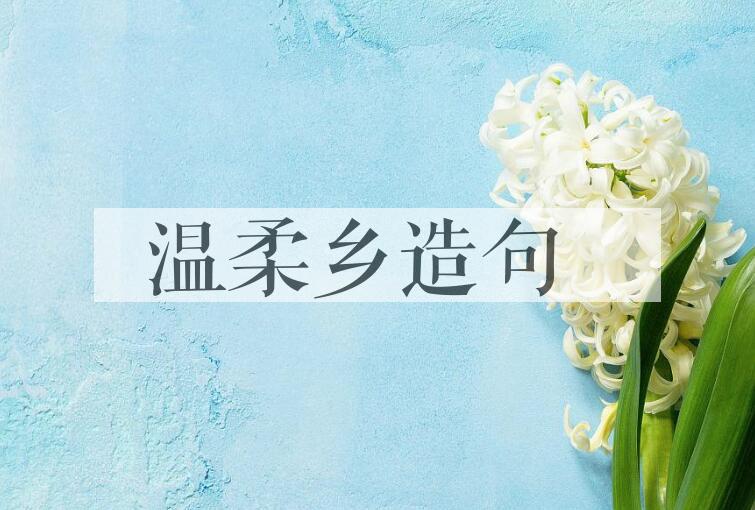 用温柔乡造句