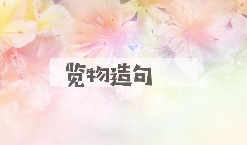 用览物造句