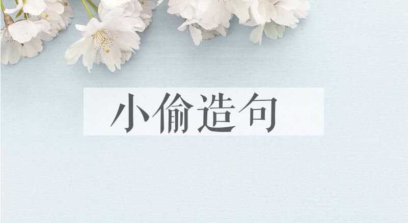 用小偷造句