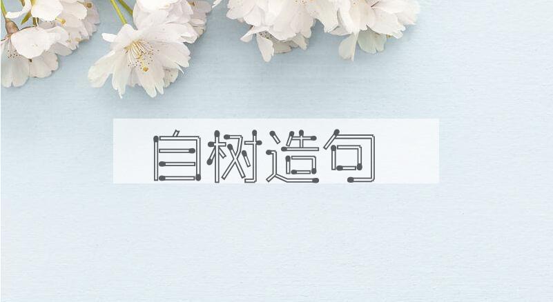 用自树造句