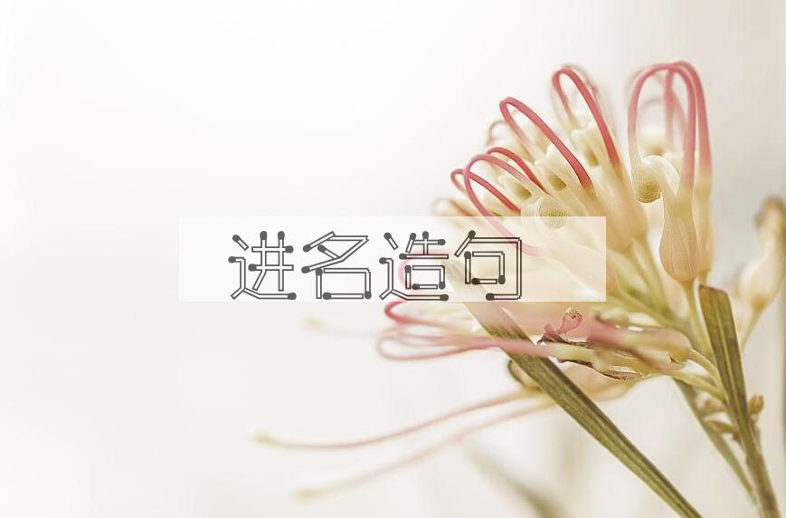 用进名造句