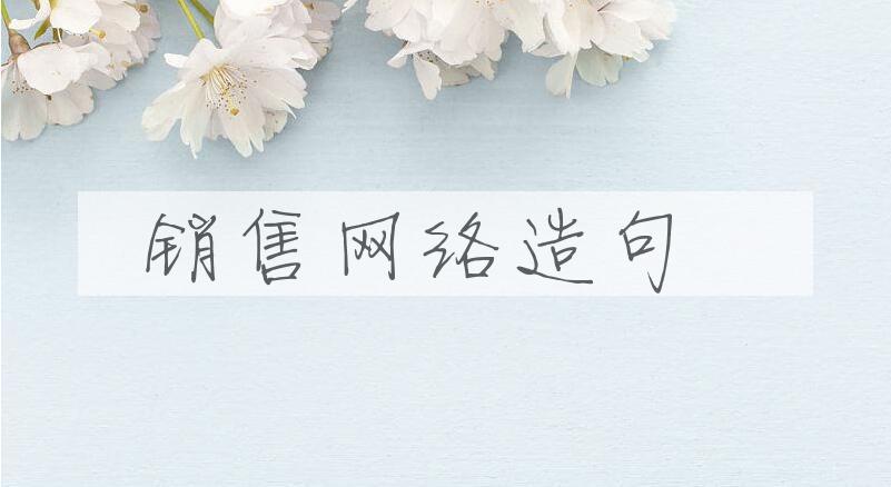 用销售网络造句