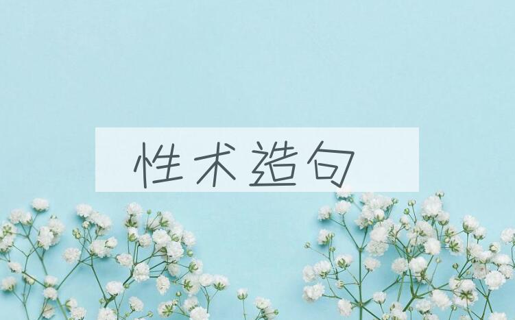 用性术造句