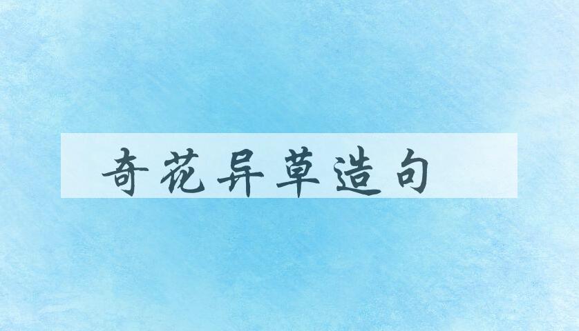 用奇花异草造句