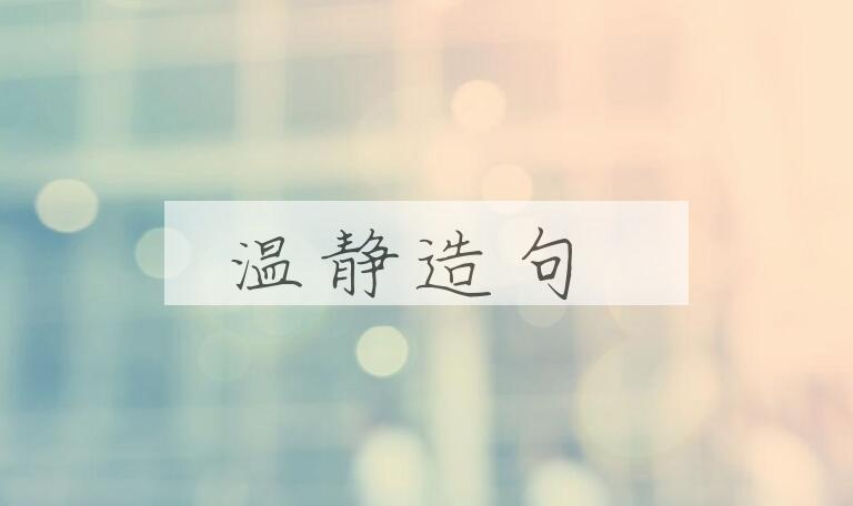 用温静造句