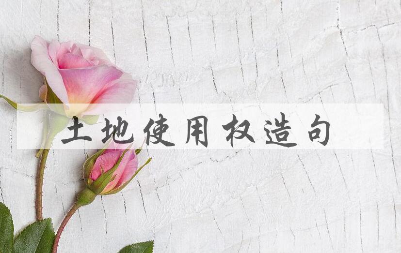 用土地使用权造句
