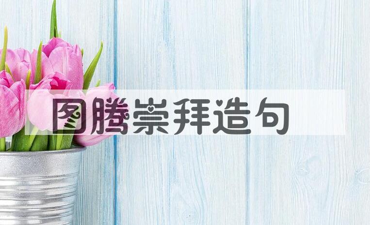 用图腾崇拜造句