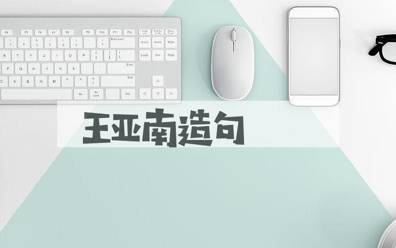 用王亚南(1901-1969)造句