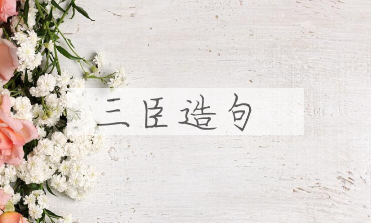 用三臣造句