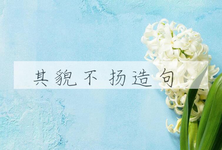 用其貌不扬造句