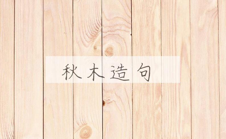 用秋木造句