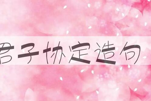 用君子协定造句