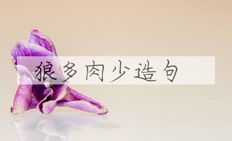 用狼多肉少造句
