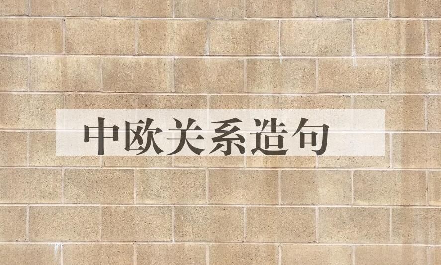 用中欧关系造句