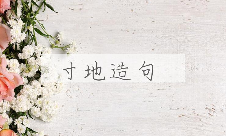 用寸地造句