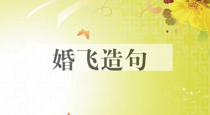 用婚飞造句
