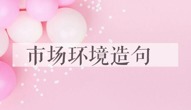 用市场环境造句