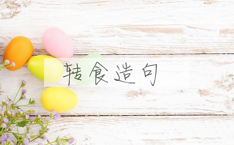 用转食造句