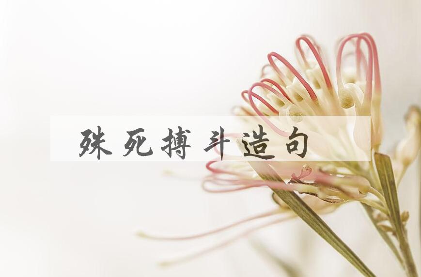 用殊死搏斗造句