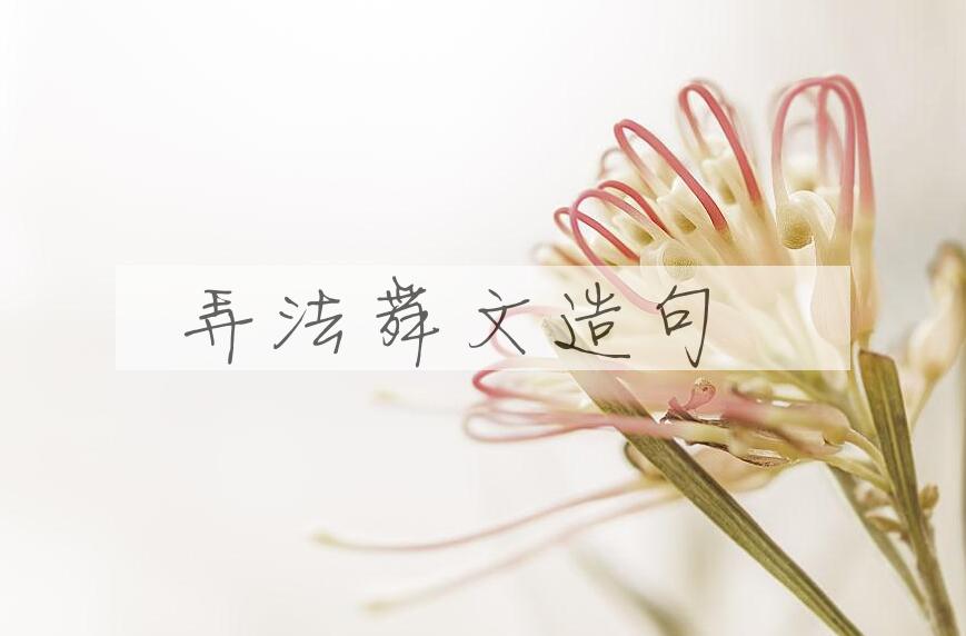 用弄法舞文造句