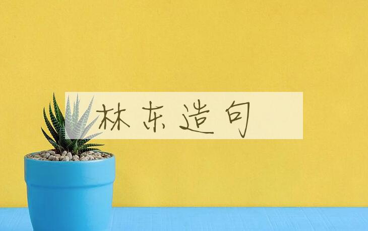 用林东造句