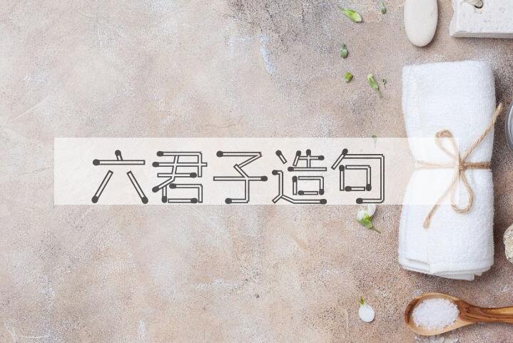 用六君子造句