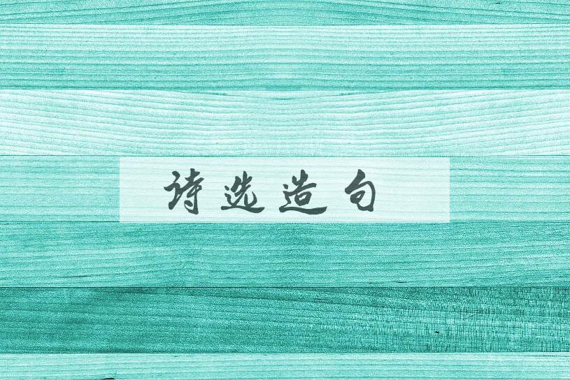 用诗选造句