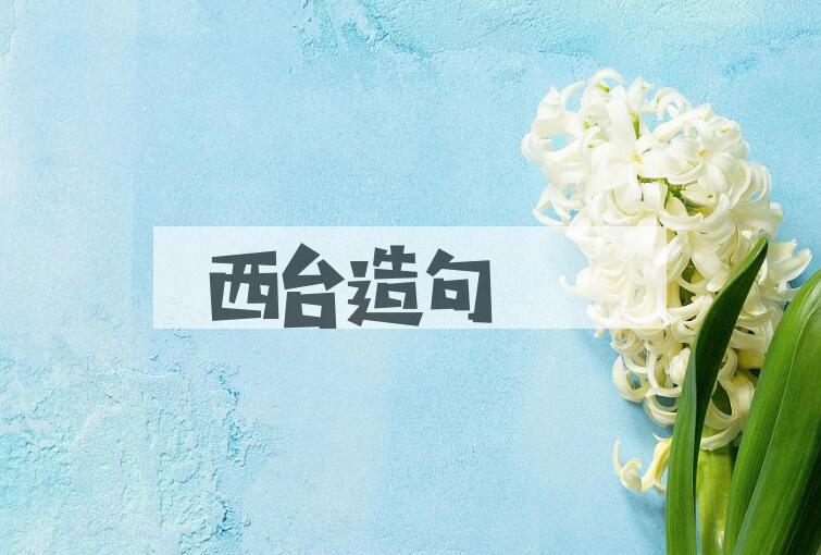 用西台造句