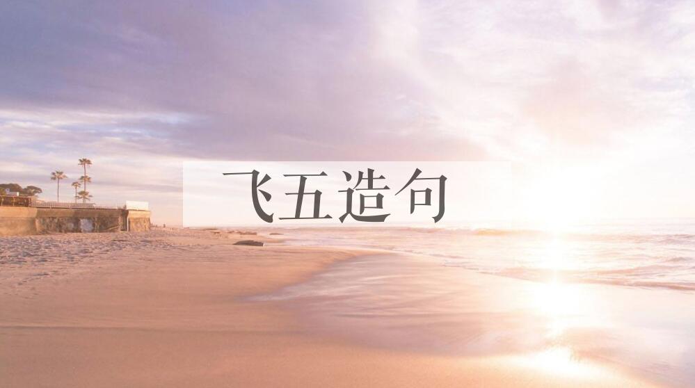 用飞五造句