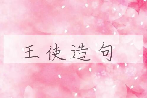 用王使造句