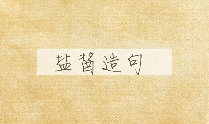 用盐酱造句