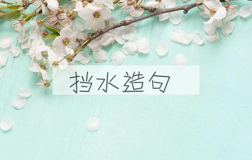 用挡水造句