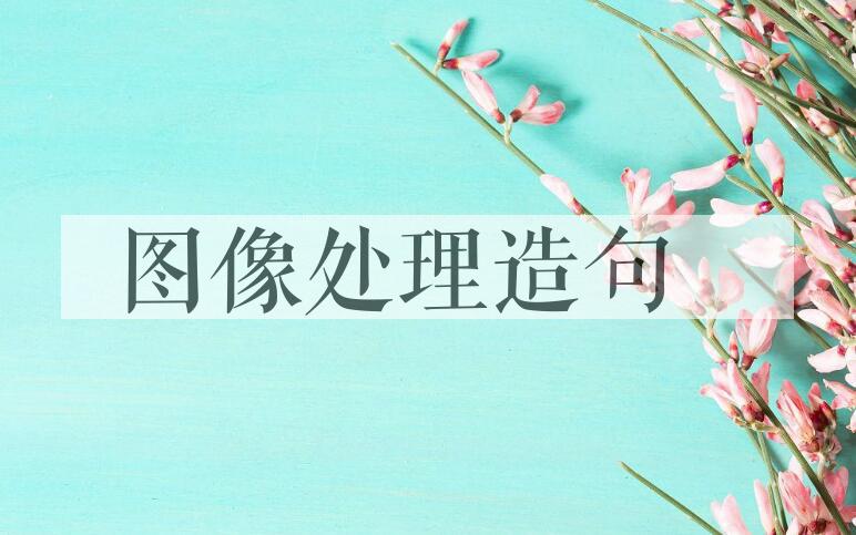 用图像处理造句