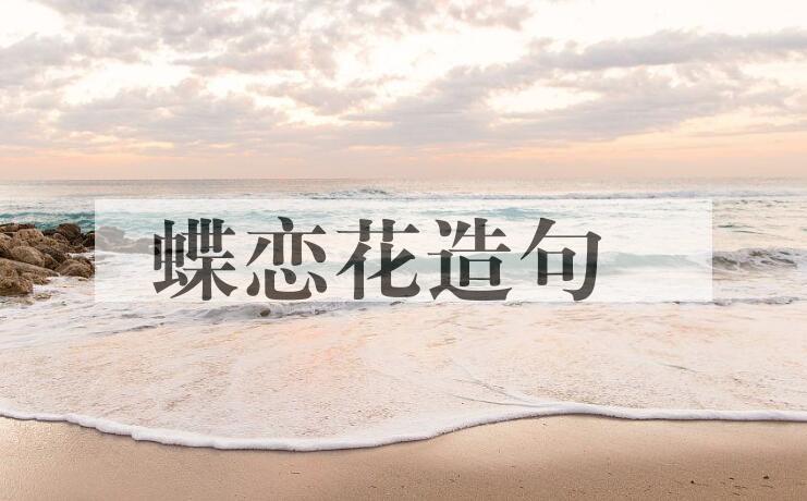 用蝶恋花造句
