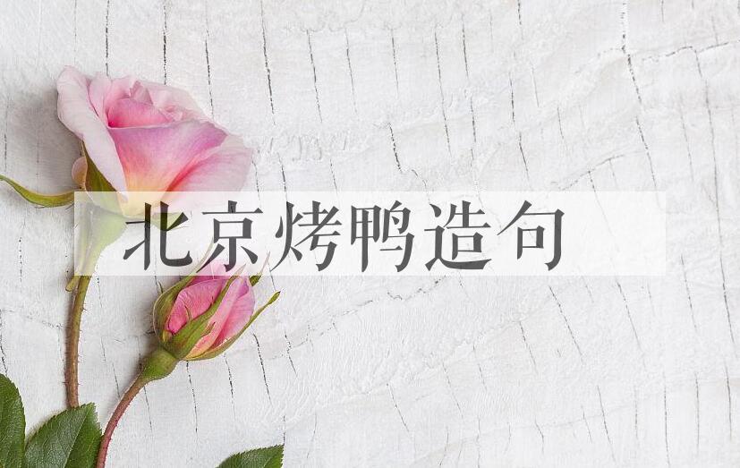用北京烤鸭造句