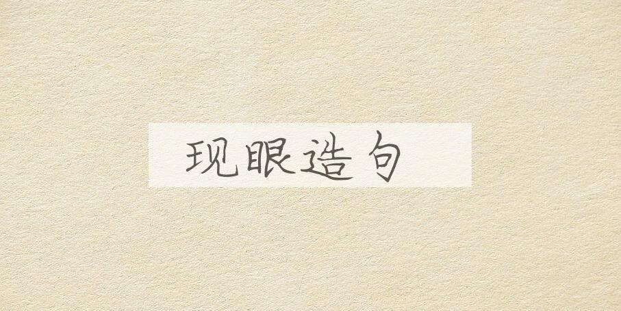 用现眼造句