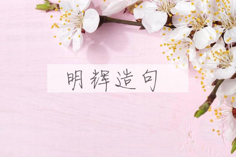 用明辉造句