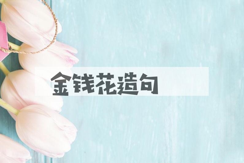 用金钱花造句