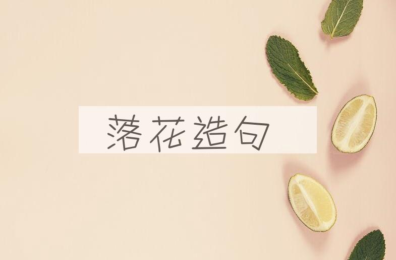 用落花造句