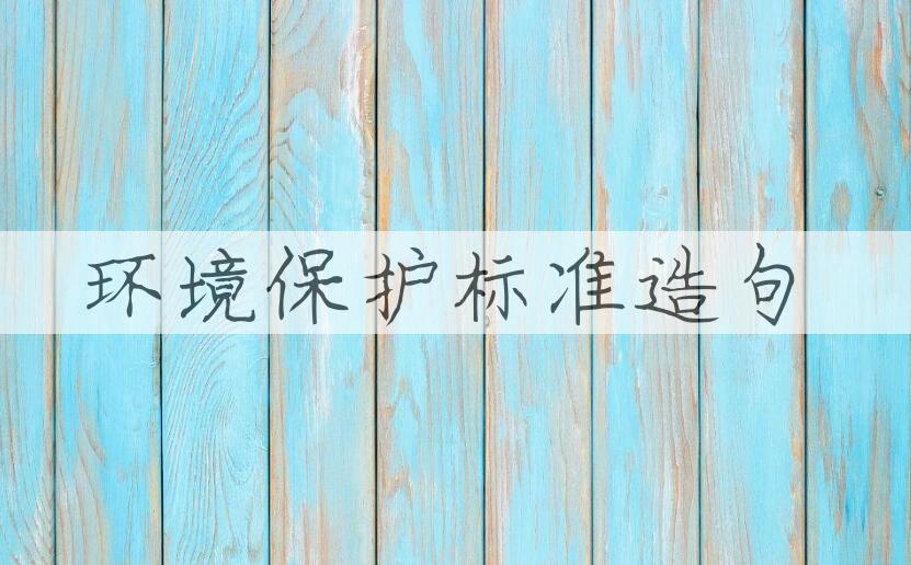 用环境保护标准造句